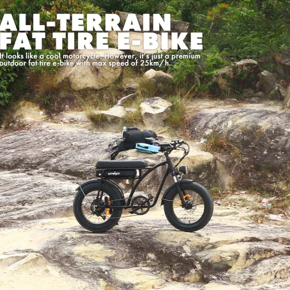 Windgo offroad Fatbike Extra grote accu - Afbeelding 3